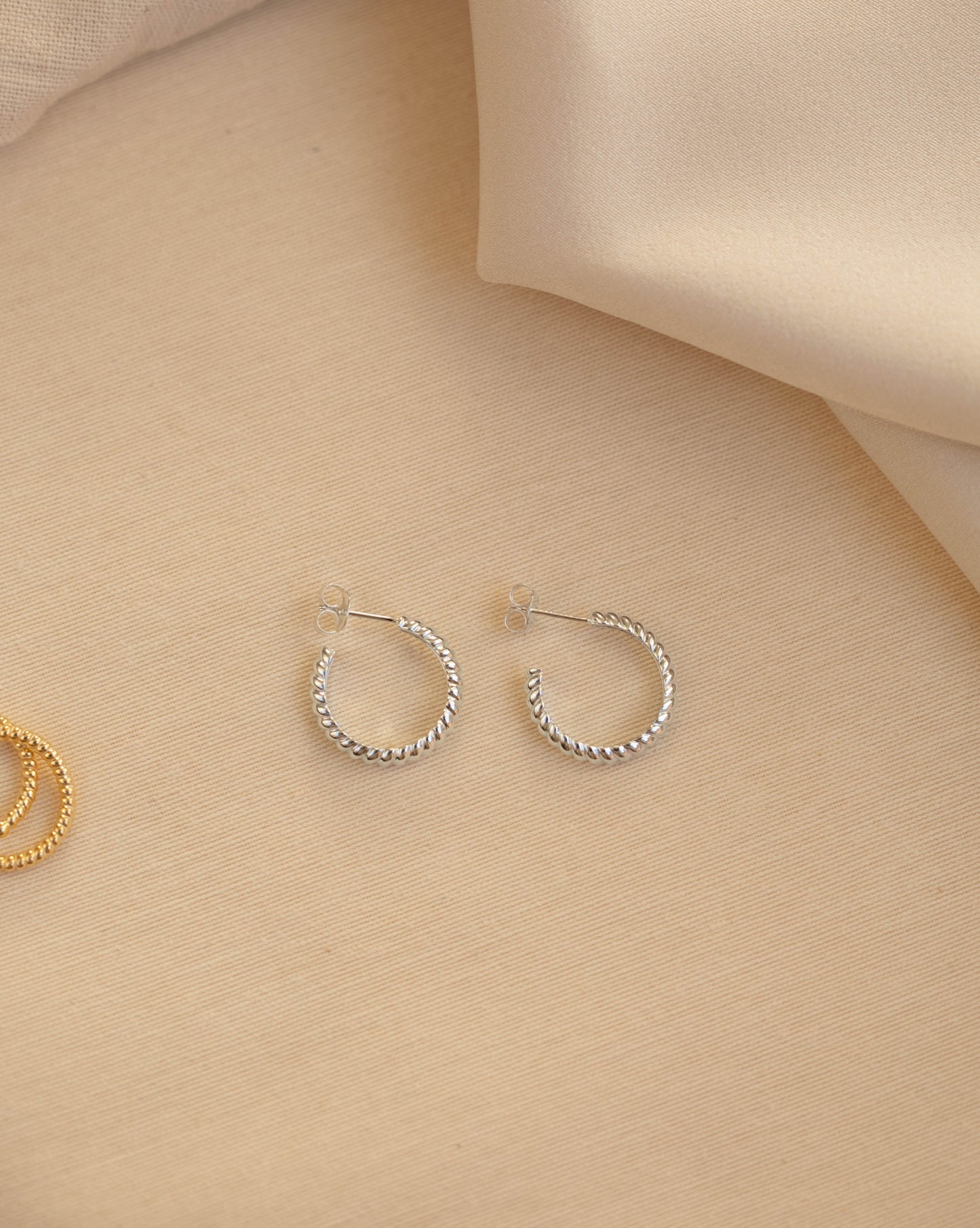 FRANCES Earrings Silver - Large